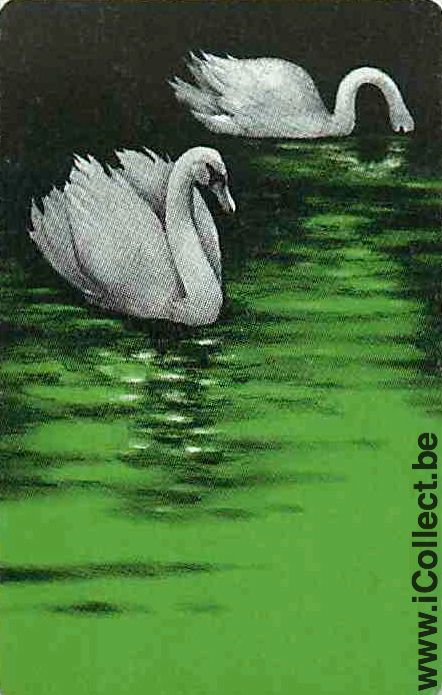 Single Swap Playing Cards Animal Swan (PS12-09H) - Click Image to Close