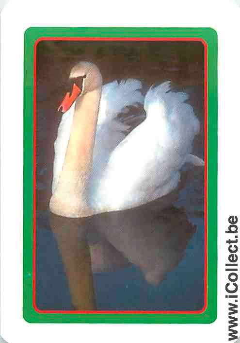Single Swap Playing Cards Animal Swan (PS12-09I)
