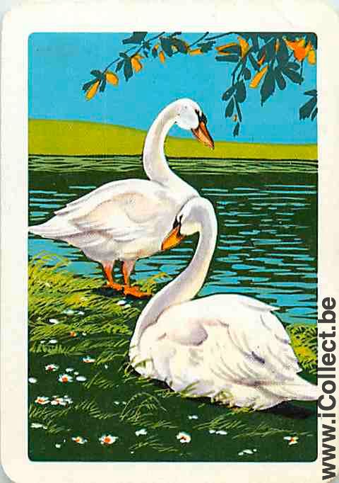 Single Playing Cards Animal Swan (PS12-10A)