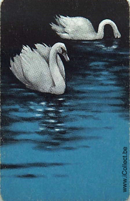 Single Swap Playing Cards Animal Swan (PS20-05F) - Click Image to Close