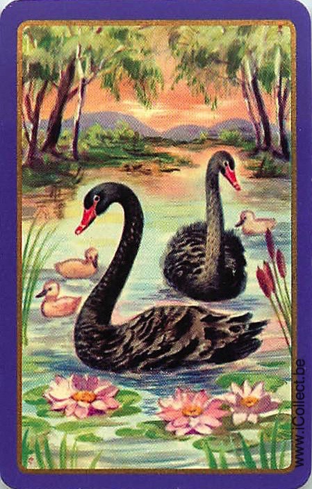 Single Swap Playing Cards Animal Swan (PS20-05G) - Click Image to Close