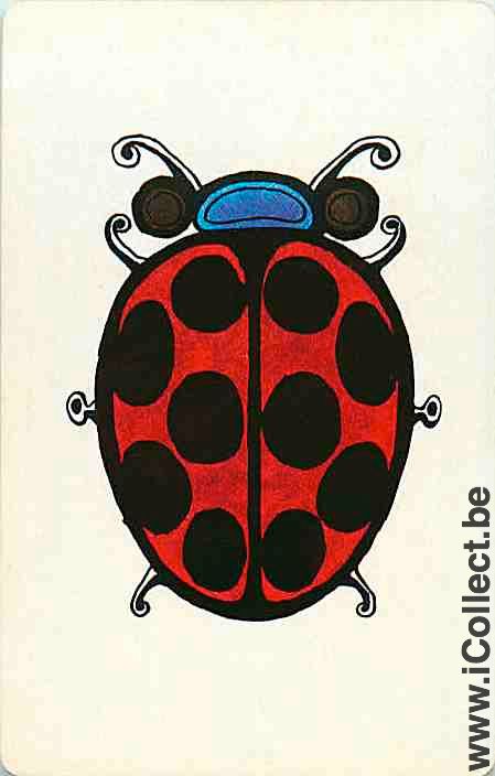Single Swap Playing Cards Animal Ladybug (PS12-23E) - Click Image to Close