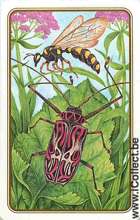 Single Playing Cards Animal Insects (PS12-24H) - Click Image to Close