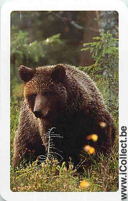 Single Swap Playing Cards Animal Brown Bear (PS14-06G)