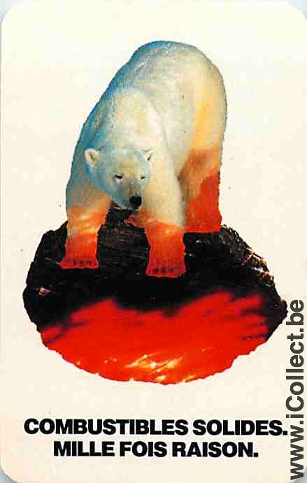 Single Swap Playing Cards Animal White Bear (PS14-07D)