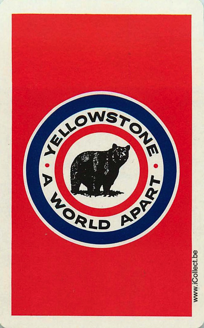 Single Swap Playing Cards Animal Bear Yellowstone (PS20-05A)