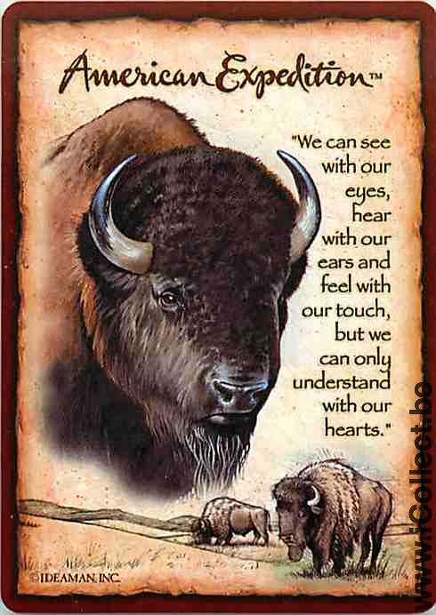 Single Playing Cards Animal Bull American Expedition (PS14-04A) - Click Image to Close