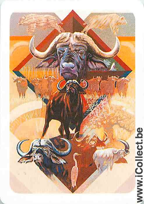Single Playing Cards Animal Bull (PS14-04B)