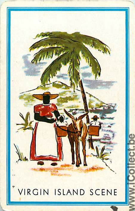 Single Playing Cards Animal Donkey Virgin Island (PS01-31B) - Click Image to Close