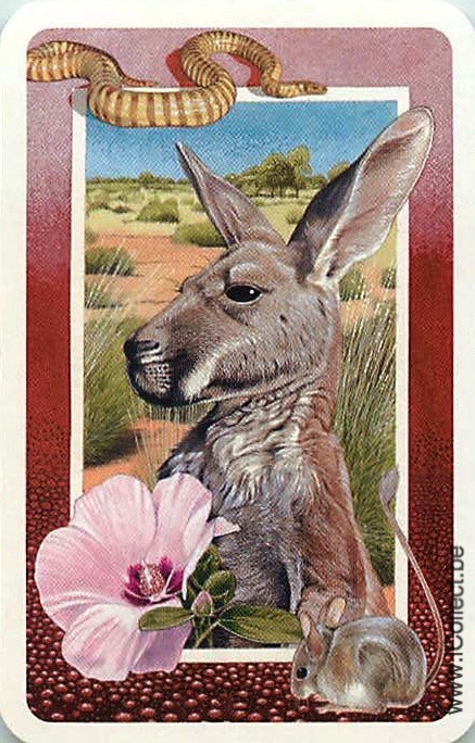 Single Swap Playing Cards Animal Donkey & Rat (PS20-09D) - Click Image to Close