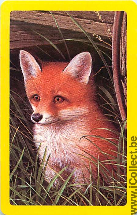 Single Playing Cards Animal Fox (PS03-04I) - Click Image to Close