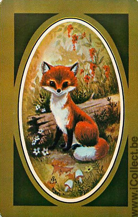 Single Playing Cards Animal Fox (PS03-11I) - Click Image to Close