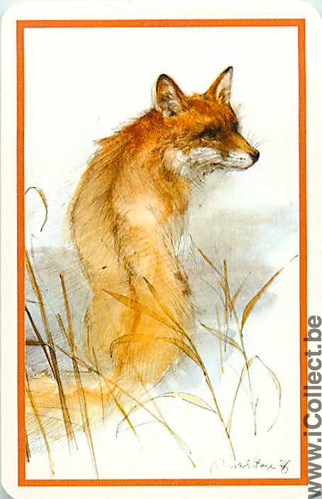 Single Playing Cards Animal Fox (PS03-31A)