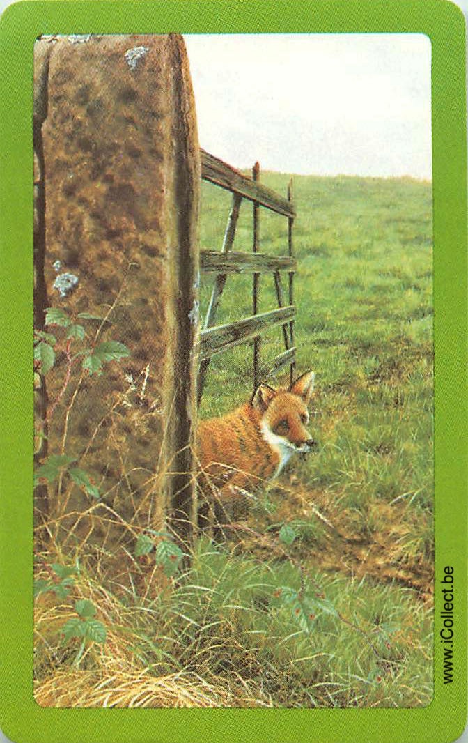 Single Swap Playing Cards Animal Fox (PS24-12B) - Click Image to Close