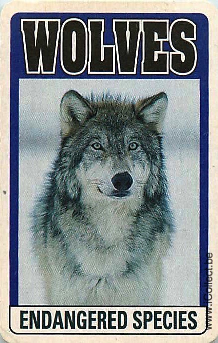 Single Swap Playing Cards Animal Wolves (PS20-03F) - Click Image to Close