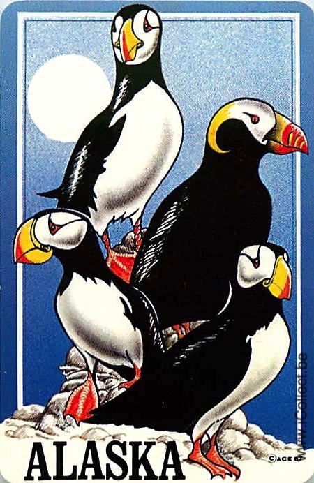 Single Swap Playing Cards Animal Penguin Alaska (PS20-04F)