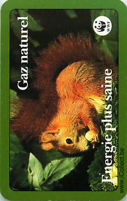 Single Swap Playing Cards Animal Squirrel (PS20-07C)