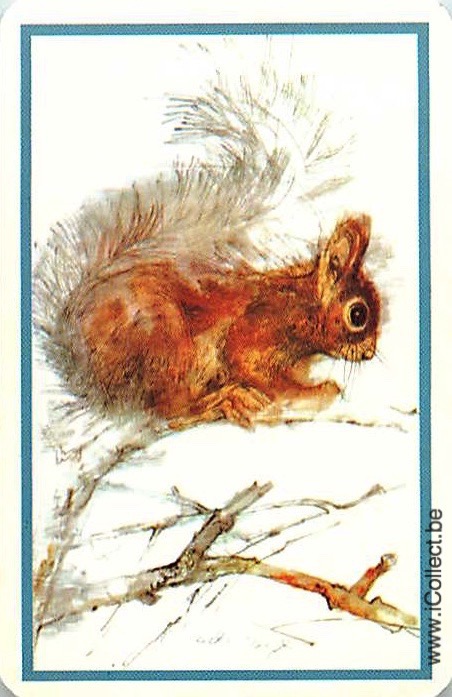 Single Swap Playing Cards Animal Squirrel and Birds (PS20-07H) - Click Image to Close