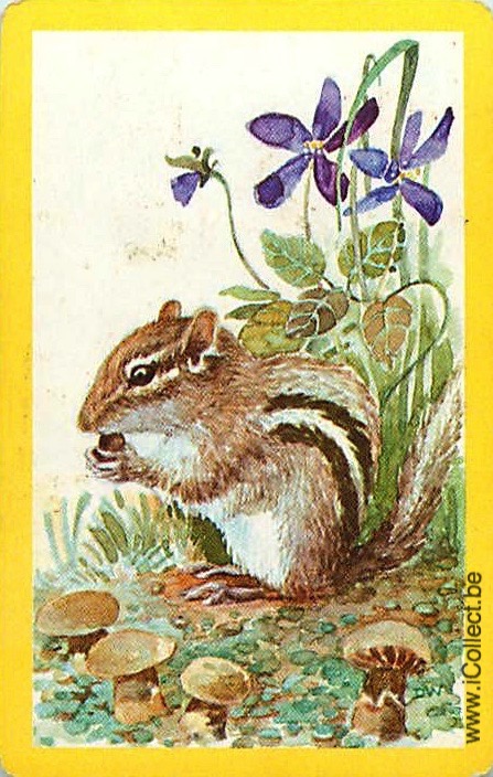 Single Swap Playing Cards Animal Squirrel (PS21-35A)