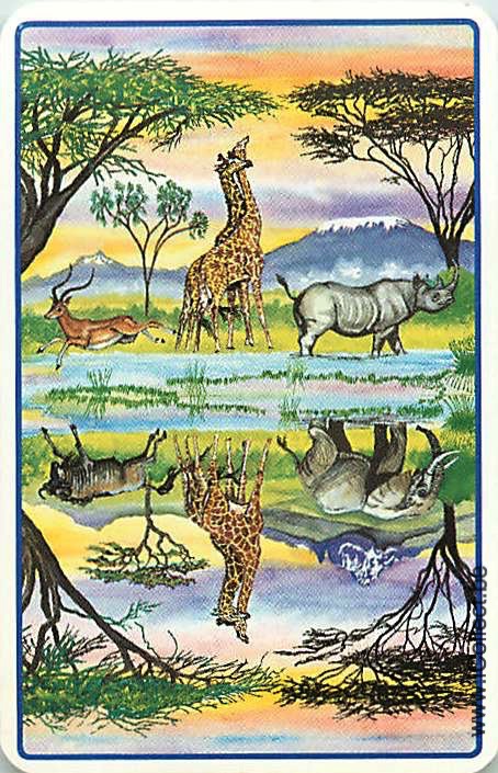 Single Swap Playing Cards Animal Safari Animals (PS20-45I) - Click Image to Close