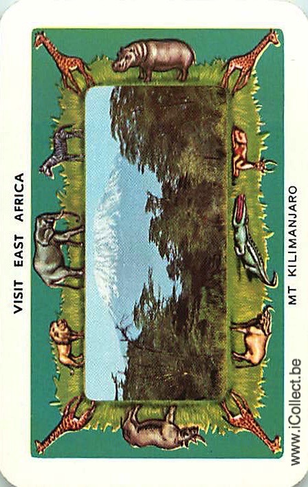 Single Swap Playing Cards Animal East Africa Safari (PS20-46F) - Click Image to Close