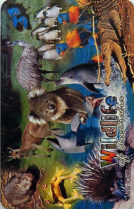Single Swap Playing Cards Animal Australia Wildlife (PS20-46H)