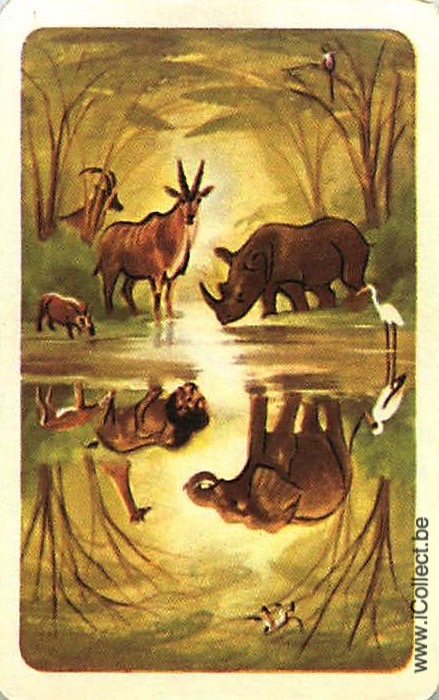Single Swap Playing Cards Animal Safari Animals (PS20-47B)