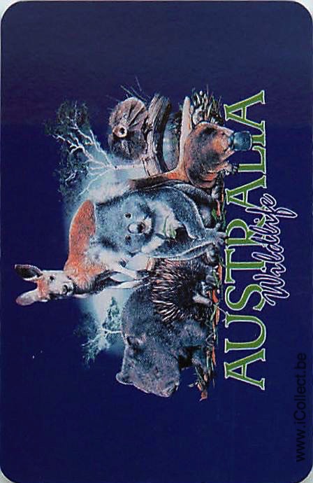 Single Swap Playing Cards Animal Australia Wildlife (PS20-47F) - Click Image to Close