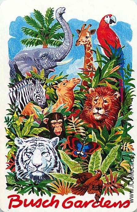 Single Swap Playing Cards Animal Bush Gardens (PS20-48B) - Click Image to Close