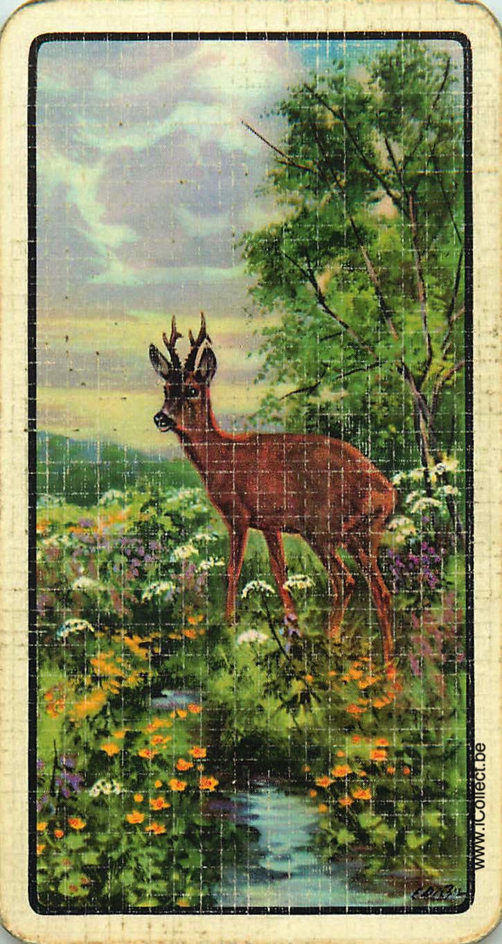 Single Swap Playing Cards Animal Deer (PS24-14F)