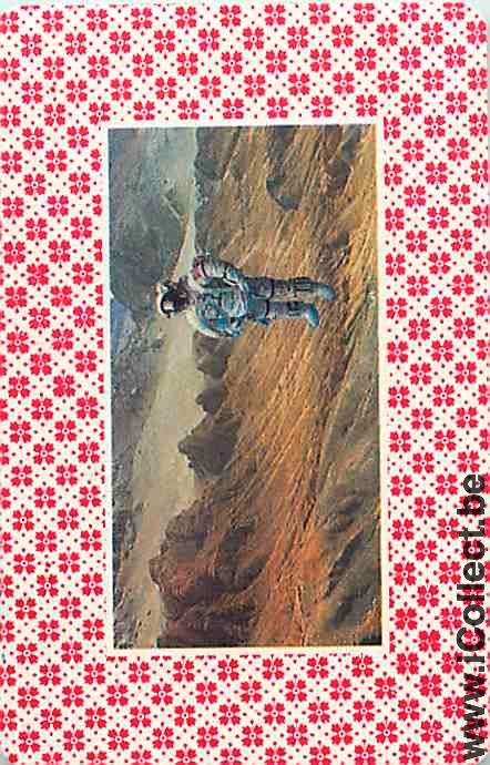 Single Playing Cards Aviation Astronaut (PS12-20D) - Click Image to Close