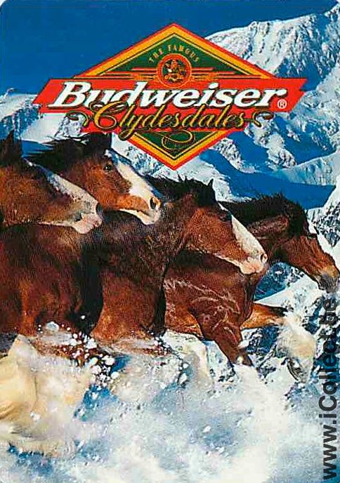 Single Swap Playing Cards Beer Budweiser Horses (PS01-37G)