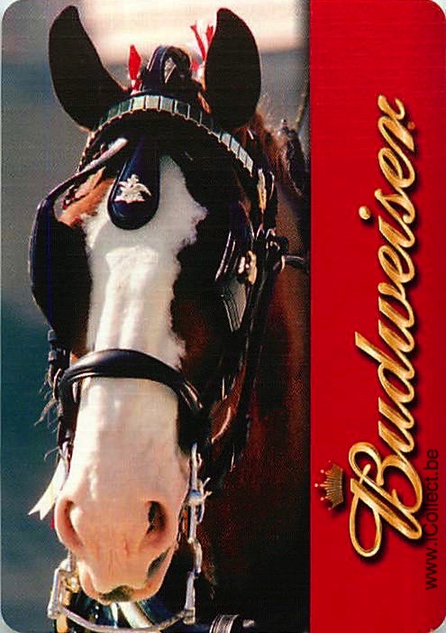 Single Swap Playing Cards Beer Budweiser (PS19-16H)