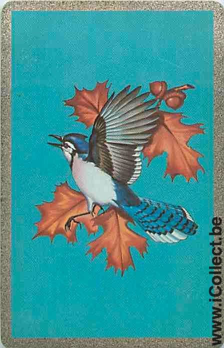 Single Swap Playing Cards Animal Bird (PS12-25B)