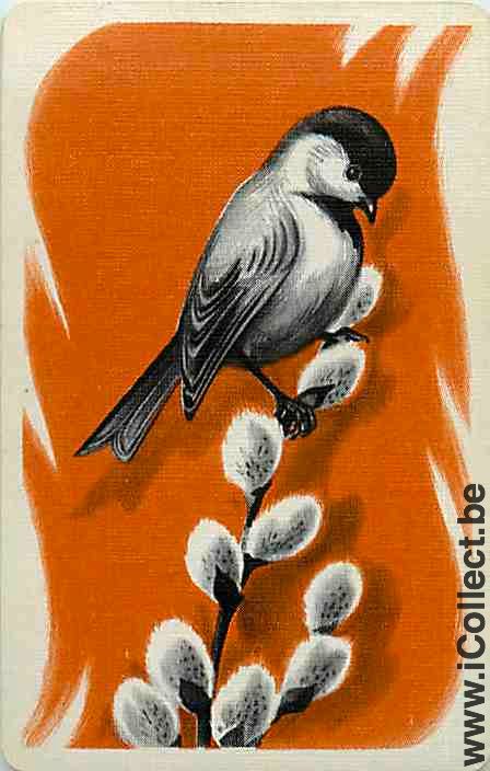 Single Swap Playing Cards Animal Bird (PS23-01C)