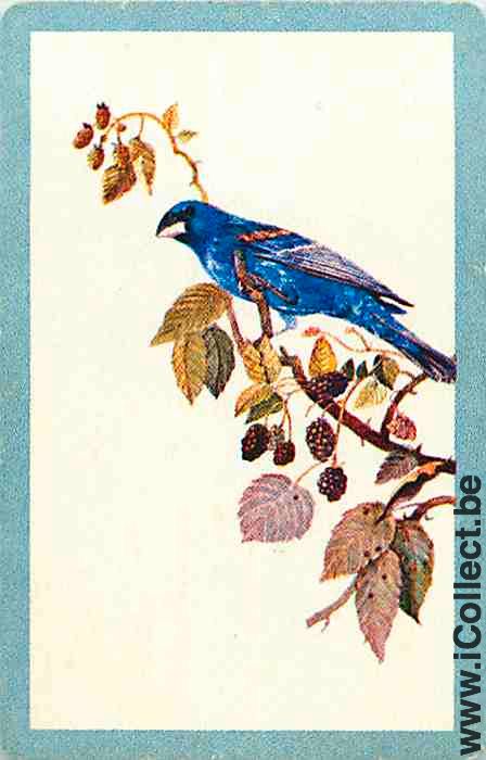 Single Swap Playing Cards Animal Bird (PS12-25F) - Click Image to Close