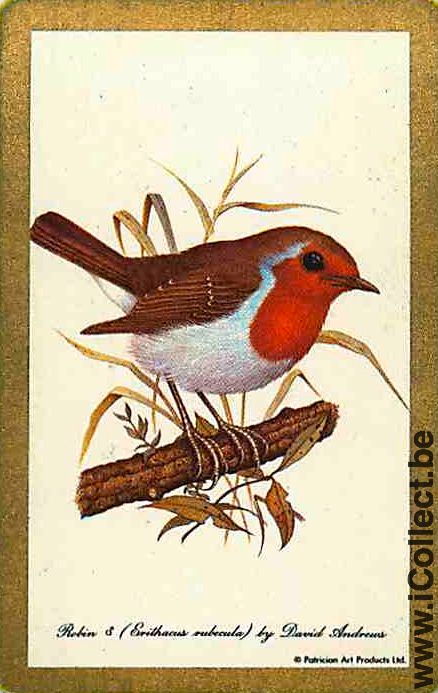 Single Swap Playing Cards Animal Bird Robin (PS12-26A)