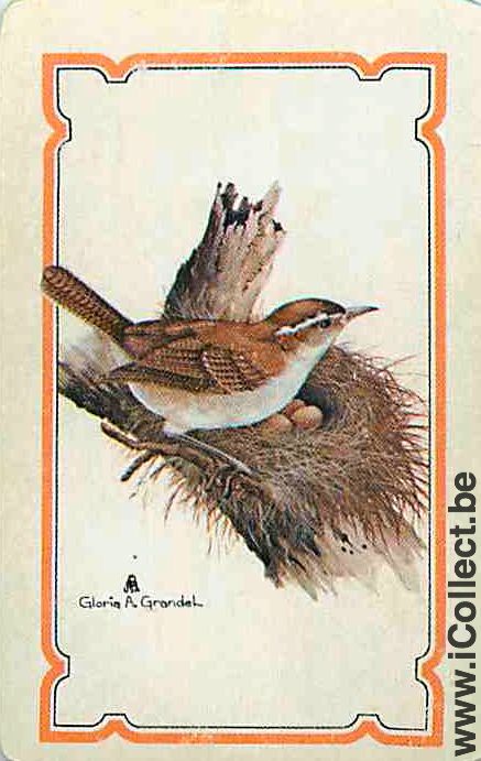 Single Swap Playing Cards Animal Bird A. Grandel (PS12-26H)