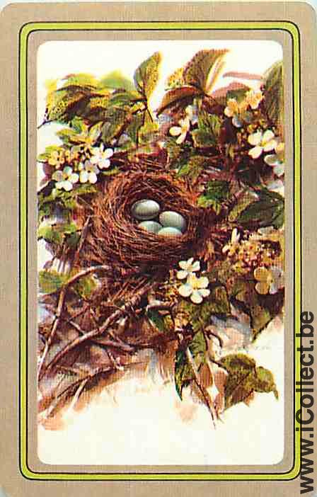 Single Swap Playing Cards Animal Bird Eggs (PS12-27H) - Click Image to Close