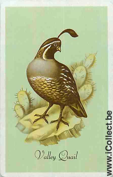 Single Swap Playing Cards Animal Bird Valley Quail (PS12-28B) - Click Image to Close