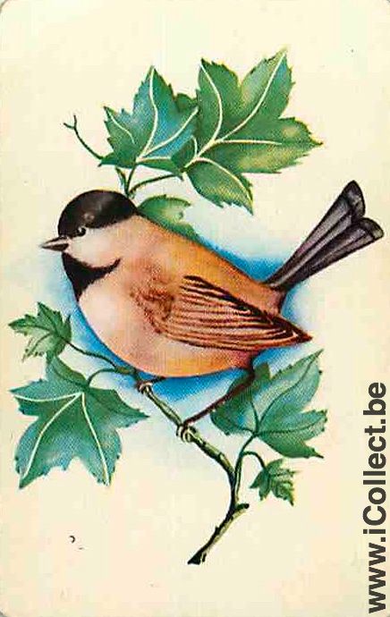 Single Swap Playing Cards Animal Bird (PS12-28C) - Click Image to Close