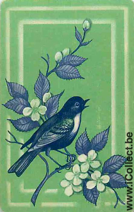 Single Swap Playing Cards Animal Bird (PS12-28I)