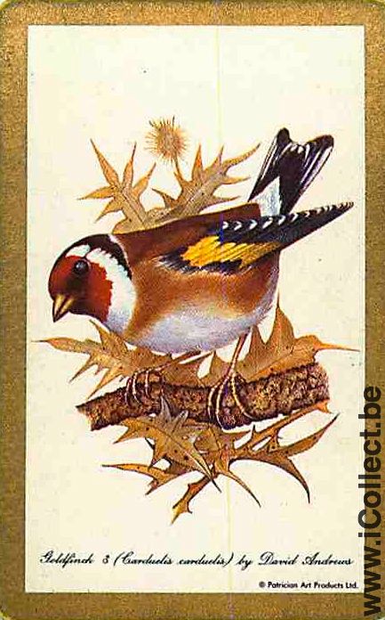 Single Swap Playing Cards Animal Bird Goldfinch (PS12-29A)