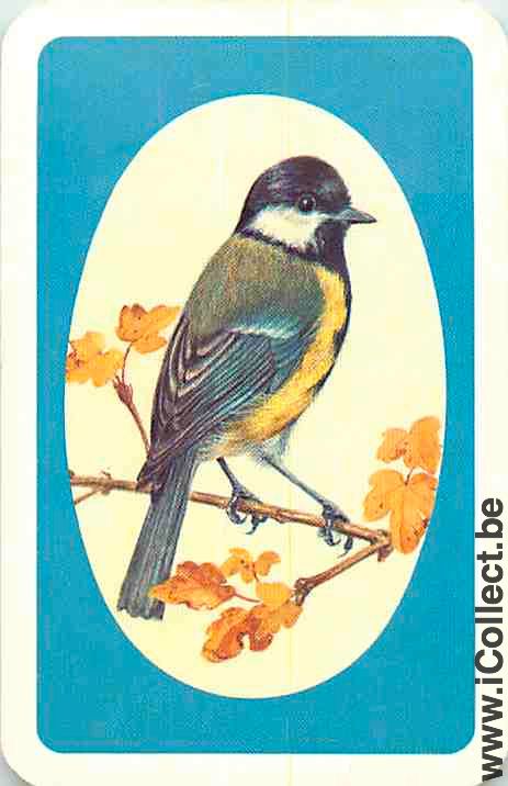 Single Swap Playing Cards Animal Bird (PS12-29F)