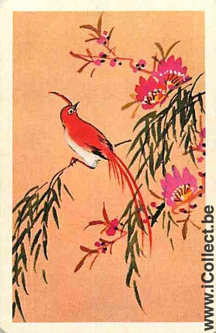 Single Swap Playing Cards Animal Bird (PS12-30G) - Click Image to Close