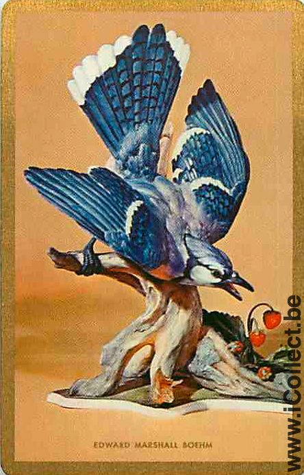 Single Swap Playing Cards Animal Bird (PS12-31C)