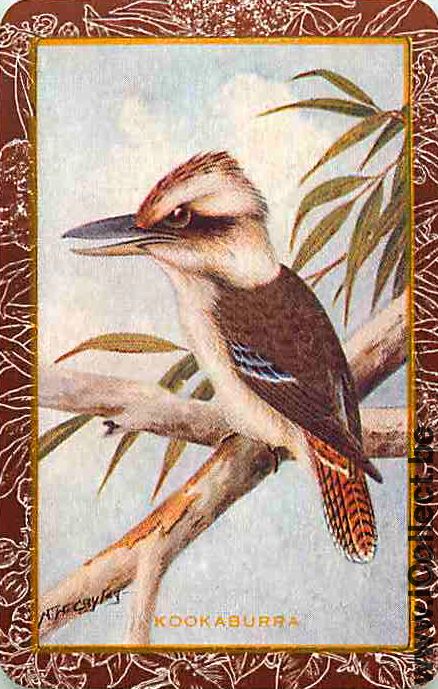 Single Swap Playing Cards Animal Bird (PS12-31E) - Click Image to Close
