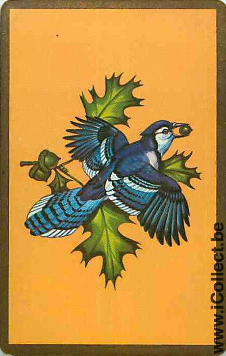 Single Swap Playing Cards Animal Bird (PS12-32A)