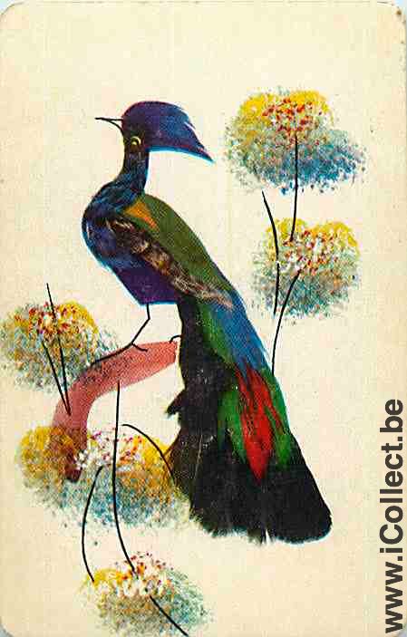 Single Swap Playing Cards Animal Bird (PS12-32B) - Click Image to Close