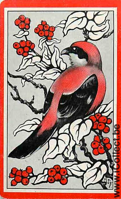 Single Swap Playing Cards Animal Bird (PS23-05G)